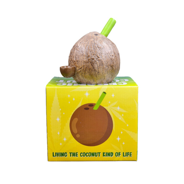 Coconut ceramic - Image 2